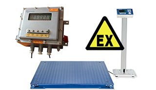 Explosion proof scale