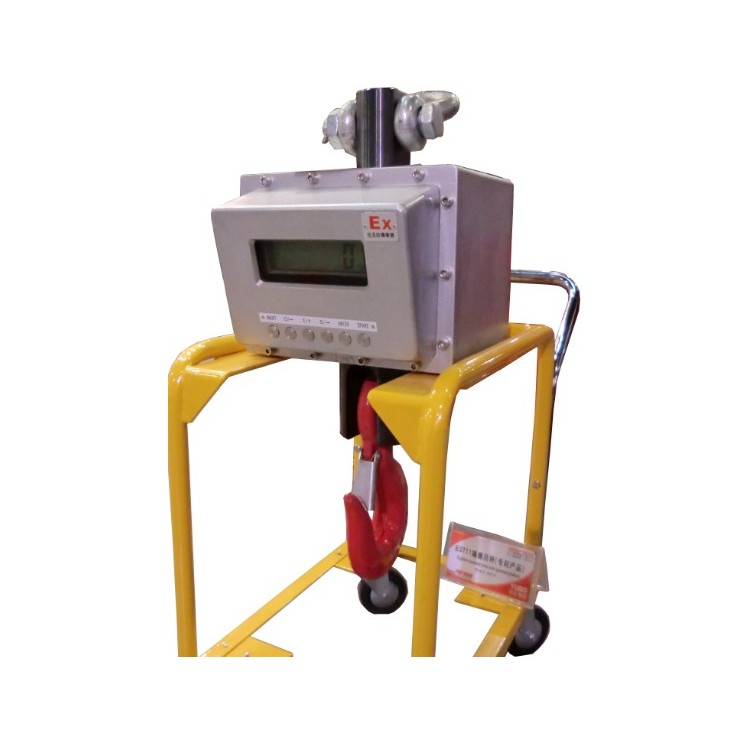 OCS ex explosion proof electronic Hanging Scale
