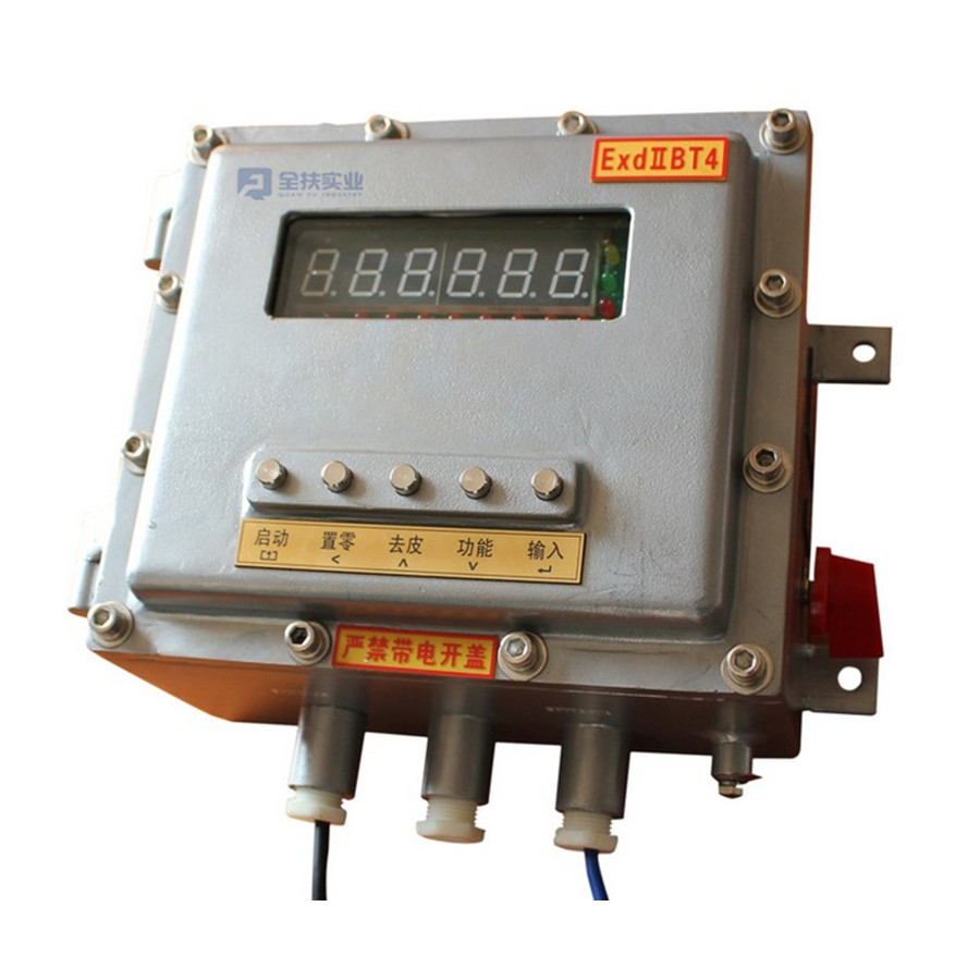 Exd flameproof weighing instrument