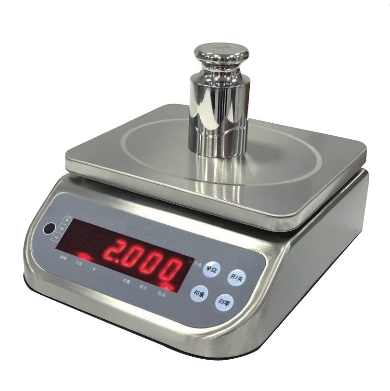 Ds-30 stainless steel waterproof scale