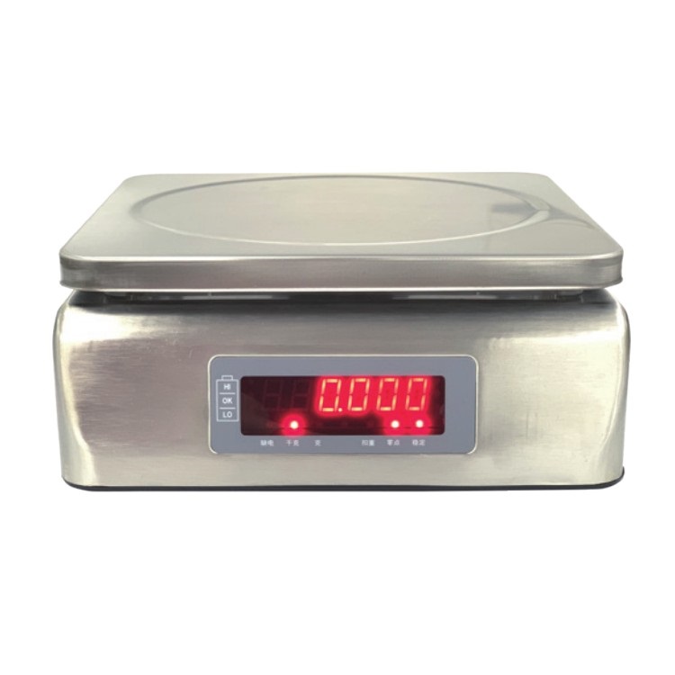 Ds-30 stainless steel waterproof scale