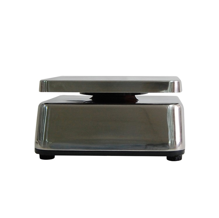 Ds-29 stainless steel electronic scale waterproof scale