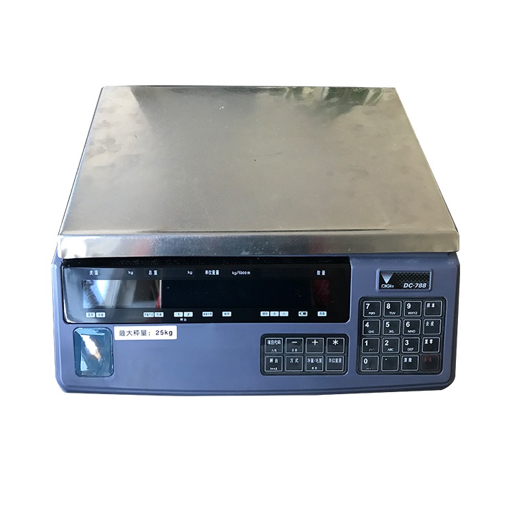 Dc-788 electronic counting scale