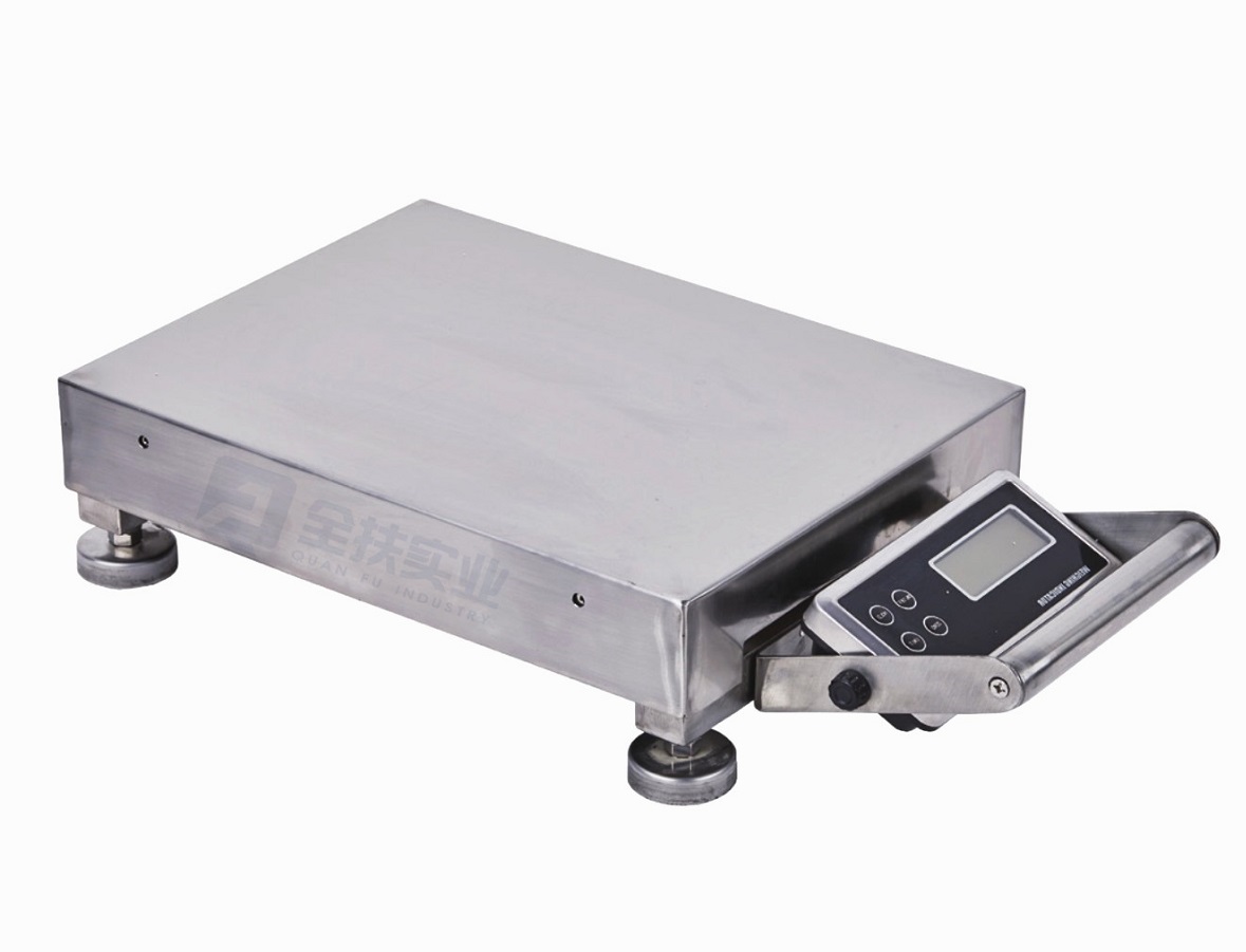 Tcs-x portable electronic platform scale and hand scale