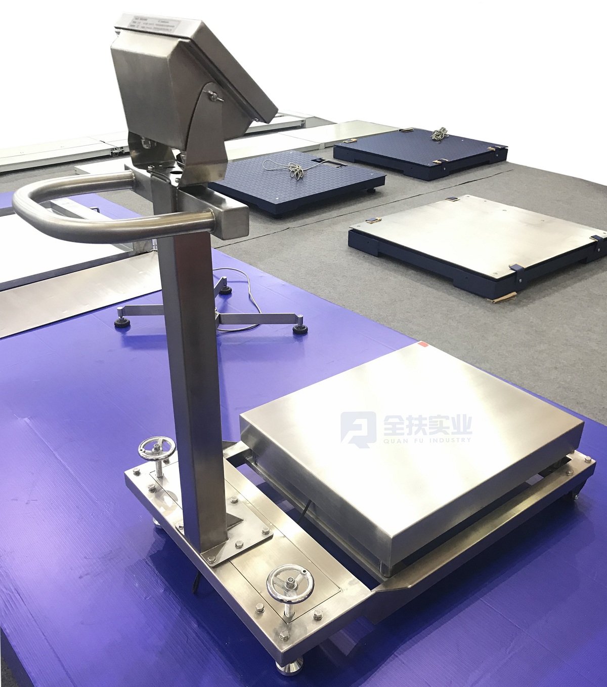 Tcs-y mobile electronic platform scale