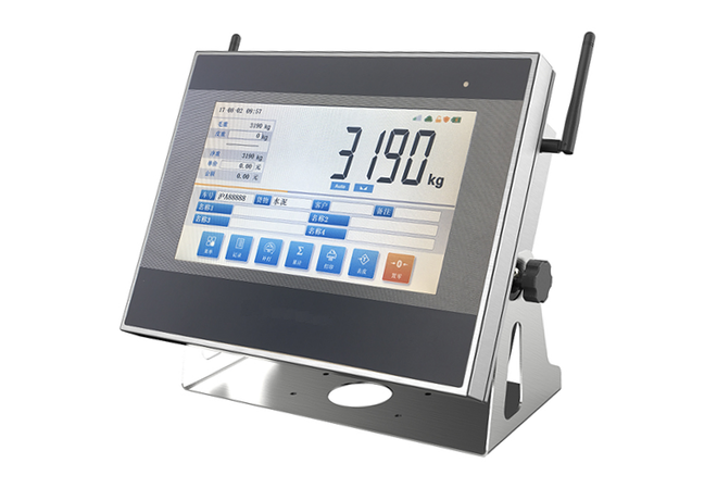 Ds12 unattended truck scale instrument