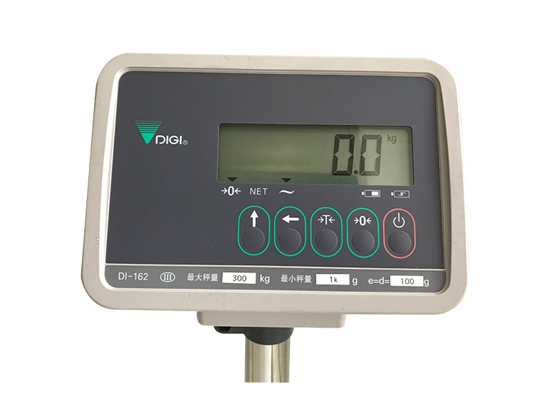 Di-162 electronic platform scale Teraoka platform scale