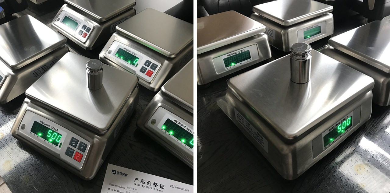 Ds-30 stainless steel waterproof scale